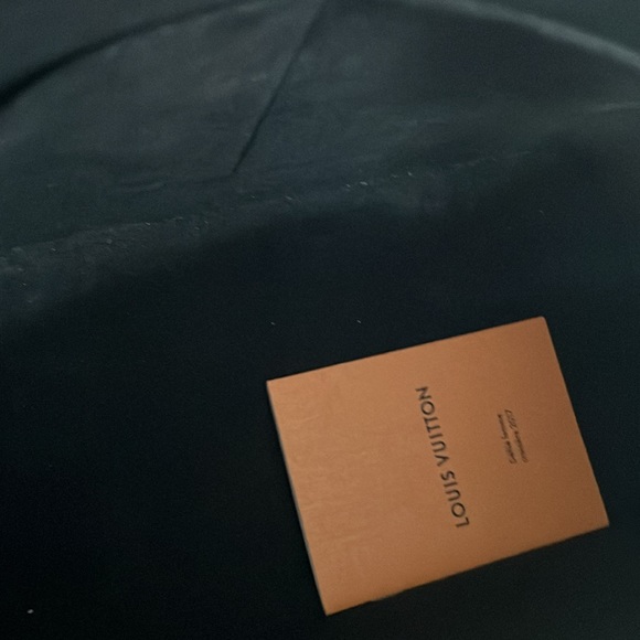 LOUIS VUITTON ALMA PM ( race line collection) - Picture 11 of 12